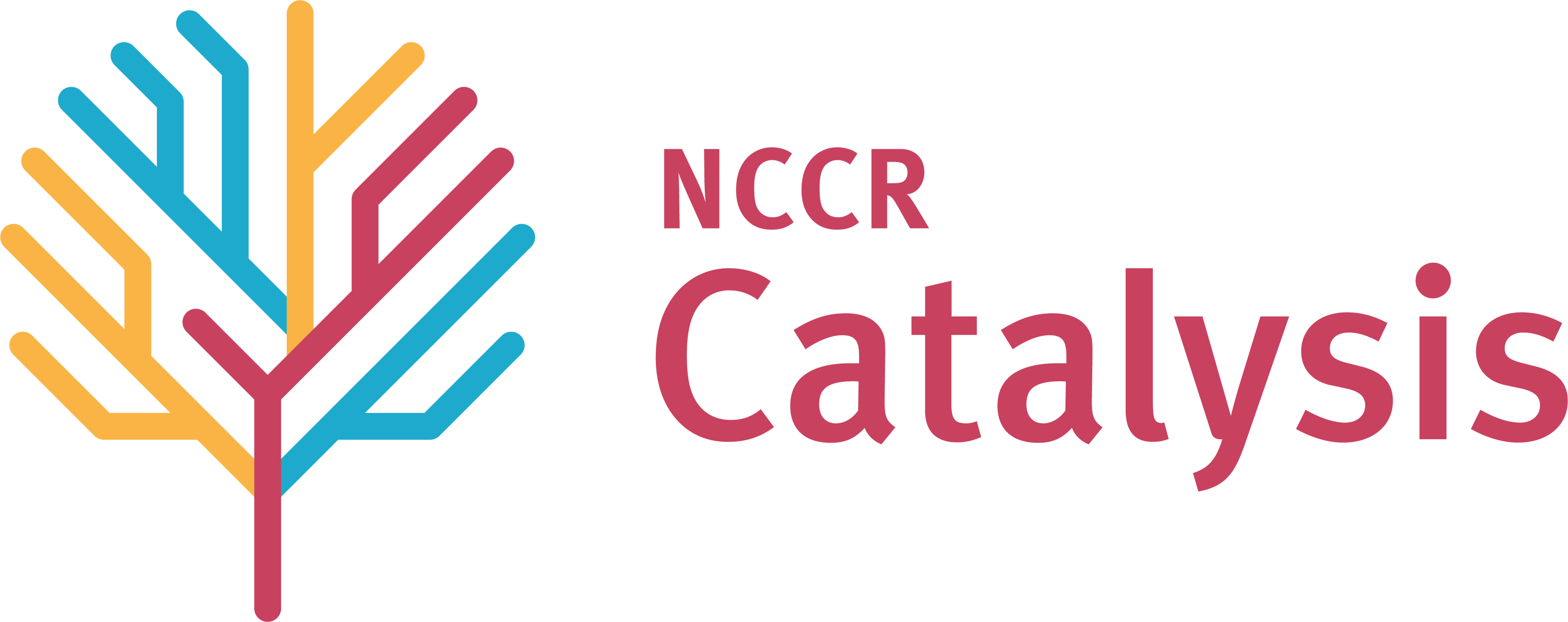 NCCR Catalysis